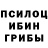 Галлюциногенные грибы мицелий Alla_Games