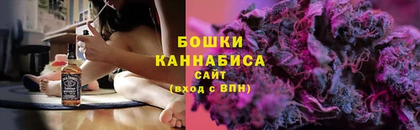 ГАЛЛЮЦИНОГЕННЫЕ ГРИБЫ Липки