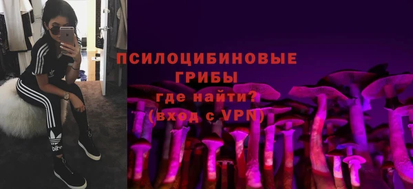 крисы Магадан