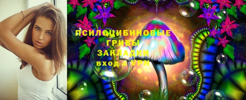 Галлюциногенные грибы Psilocybe  как найти закладки  Зарайск 