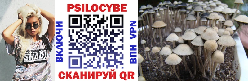 Псилоцибиновые грибы GOLDEN TEACHER  Зарайск 